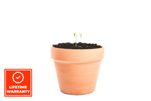 Load image into Gallery viewer, Clay Plant Pot (4588080300076)
